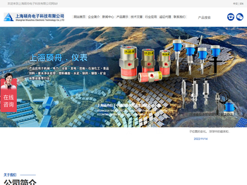 上海硕舟电子科技有限公司