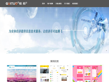 广西硅拓信息技术有限公司