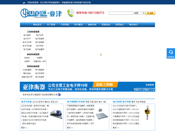 电子秤品牌厂家