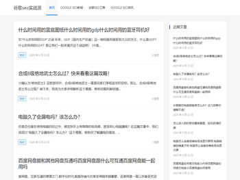 谷歌seo实战派