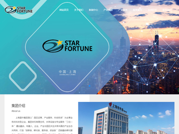 星中集团