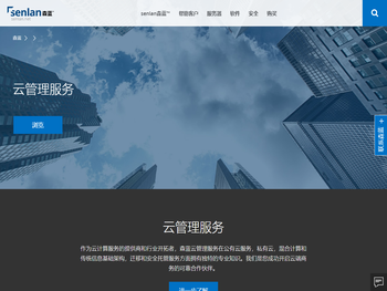 云服务器维护服务,云服务器勒索病毒恢复数据,云服务器数据恢复服务,森蓝技术支持服务