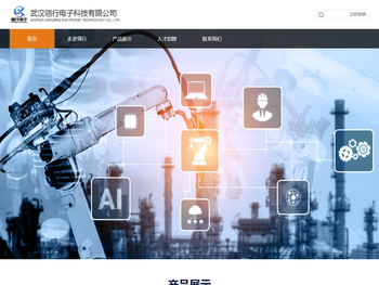 武汉翎行电子科技有限公司