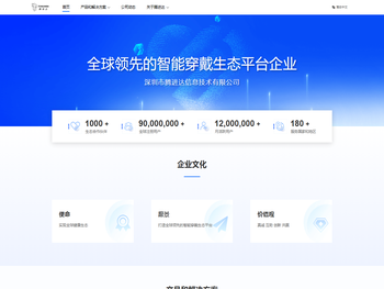 深圳市腾进达信息技术有限公司