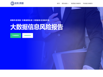 网信大数据信用风险报告