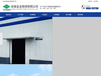 安徽金龙泵阀有限公司