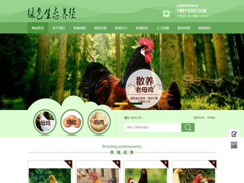 向明发的个人主页