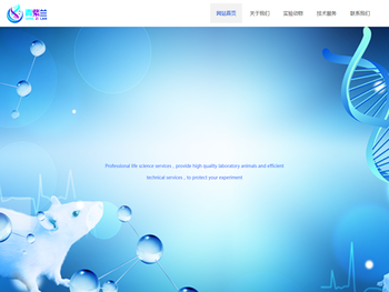 南京青紫兰科技有限公司