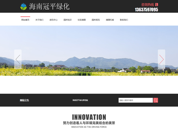 海口大树树枝高空修剪庭院花园清理运输