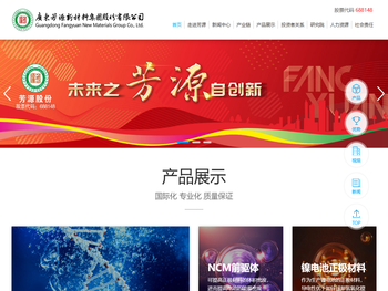 广东芳源新材料集团股份有限公司