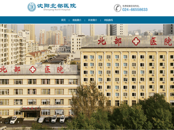 沈阳北部医院