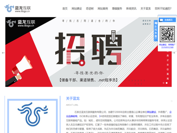 石家庄蓝龙互联网服务有限公司