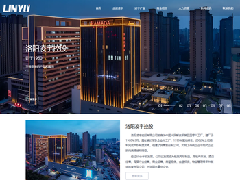 洛阳凌宇控股有限公司