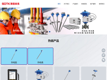 热电阻/热电偶生产厂家
