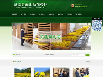 彭泽县南山菊花茶场