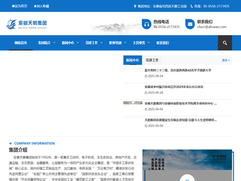 安徽天鹅集团,安徽天鹅集团