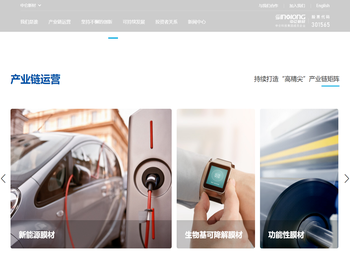 中仑新材料股份有限公司