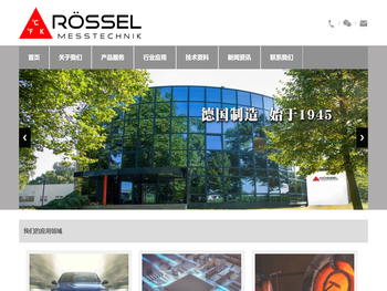 工业高精度温度传感器/热电偶/热电偶连接器/钨铼热电偶/ROESSEL/ROSSEL/跃思