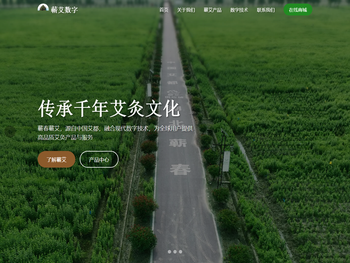 蕲春蕲艾数字信息发展有限公司