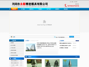 河间市永顺精密模具有限公司