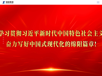 绵阳市投资控股（集团）有限公司