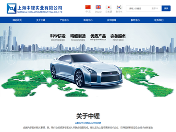 上海中锂实业有限公司