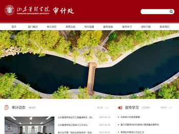 山东管理学院审计处