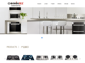 佛山市驰王电器有限公司官网