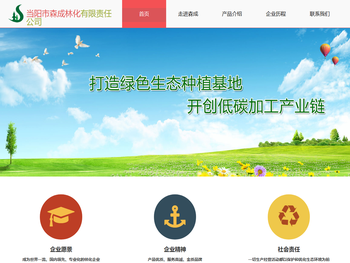 当阳市森成林化有限责任公司