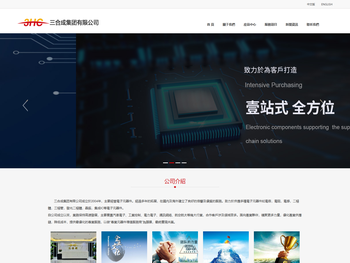 三合成集团有限公司