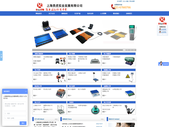 便携式汽车称重仪，电子地磅，电子钢瓶秤，电子吊秤，电子台秤，防爆电子秤，电子天平，克重仪