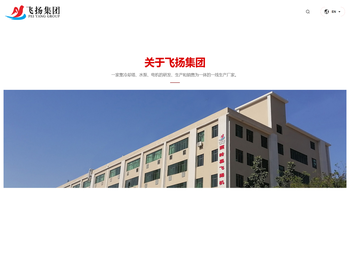 广东飞扬实业集团有限公司