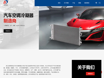 汽车空调冷凝器/蒸发器