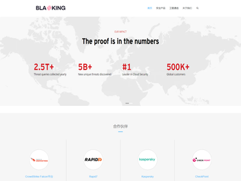 专业网络安全产品及解决方案提供商