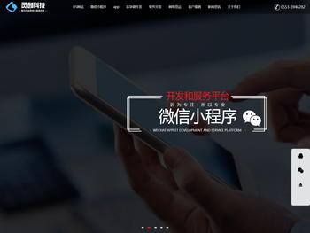 芜湖灵创网络科技，专业互联网整合网络营销方案提供商