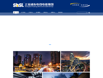 上海浦东电线电缆（集团）有限公司