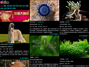 Sbike，识百客，动植物百科网，国内最专业的动物