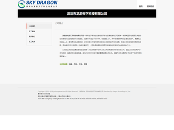 深圳市龙游天下科技有限公司