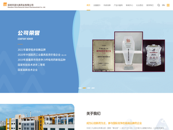 深圳华润九新药业有限公司