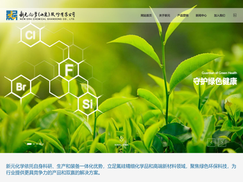 新元化学（山东）股份有限公司