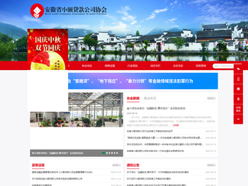 安徽省小额贷款协会