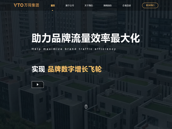 万同集团（VTO）