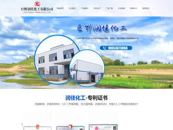 巨野润佳化工有限公司,二甲酚,间对甲酚,焦化苯酚,巨野润佳化工