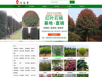 园林绿化苗木