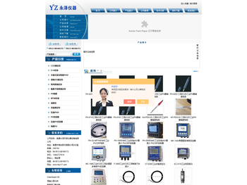 上海网站建设公司