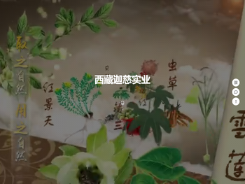 西藏迦慈实业股份有限公司