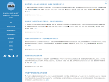 海外虚拟产品独立站,