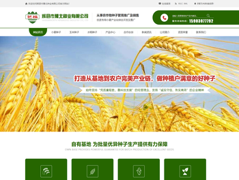 河南小麦玉米种子厂家