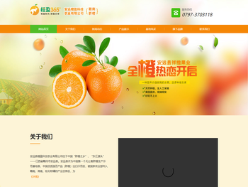 安远县橙盈科技农业有限公司