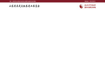 山东省武术协会吴式太极拳专业委员会